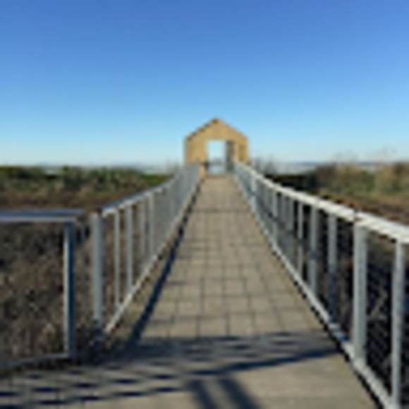 Meet your Posher, Charlize - Picture 1 of 1